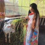 Poonam Kaur Instagram - देवी मां के कदम आपके घर आएं, आप खुशी से नहाएं परेशानियां आपसे आंखें चुराए। जय माता दी ! Happy Navratri 2023 ! #maadurga