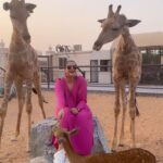 Prachi Tehlan Instagram - The best experience and knowledge one can have about animals is in a wildlife park where you get to experience the animals with close encounters. Surreal experience I had 🥰🩷 @thezoowildlifepark This gentleman named Mohammad takes care of all kinds of animals here and this has been his retirement plan always. His kid (just 6) also joined us who aspires to be a wildlife photographer. What a wonderful family and what amazing study of all kinds of carnivores and herbivores. 💡New learning : Just like an elephant's trunk or a monkey's tail – giraffe have a prehensile tongue! means they have fine muscular control allowing them to grasp and hold things. A giraffe's tongue is also the strongest of any animal, and it can be an impressive 18 inches long! #wildlifesantuary #wildlifepark #giraffe #deersofinstagram #feedinganimals The Zoo Wild Life Park