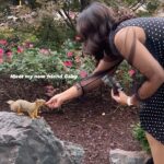 Prachi Tehlan Instagram - I became friends with this beautiful squirrel 🐿 named Gaby at Grand Rapids outside my hotel. He was not just adorable but came seeking for nuts to dig under the soil to later use it during winters. This is the most sweetest thing I experienced during my trip to US! He would again and again come to me for ONE at a time.. mainly cashews and almonds .. and would take them from his tiny hands and run towards a park to hide it at his secret places❤️ #loveforanimals #newfriend #love #animallover #traveller #surprises Grand Rapids, Michigan