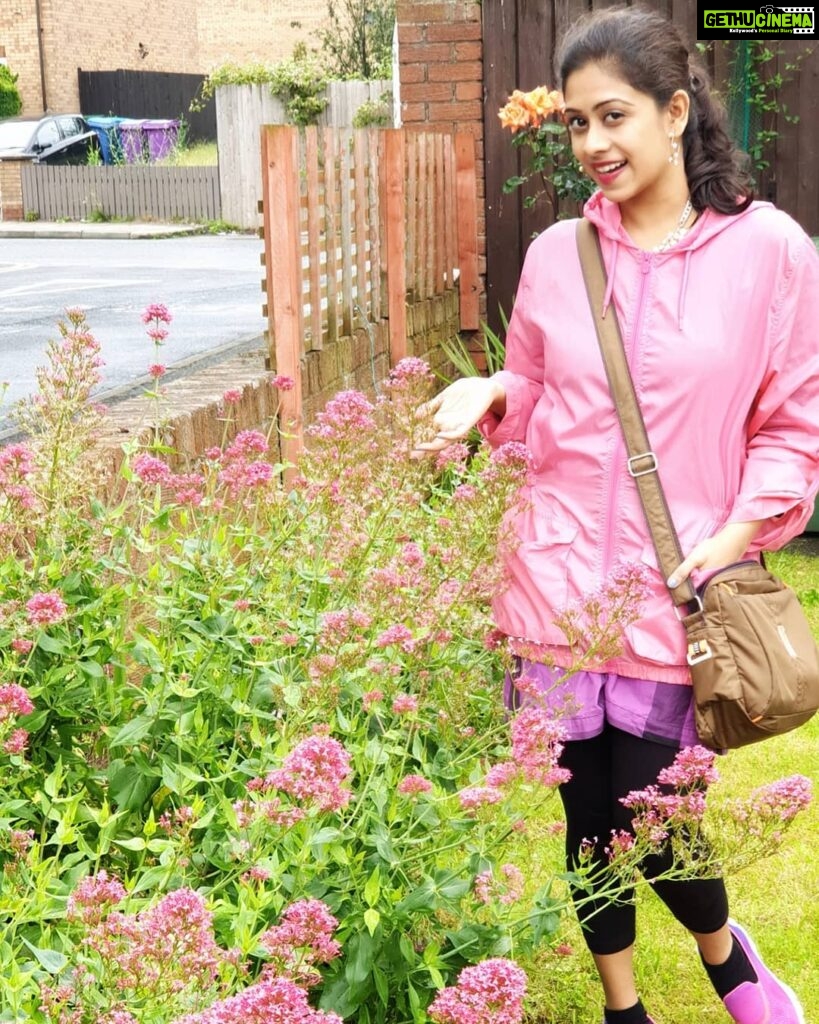Priyaa Lal Instagram - 💕 #pink #flowers #liverpool #british #spring #home #garden #instahappiness