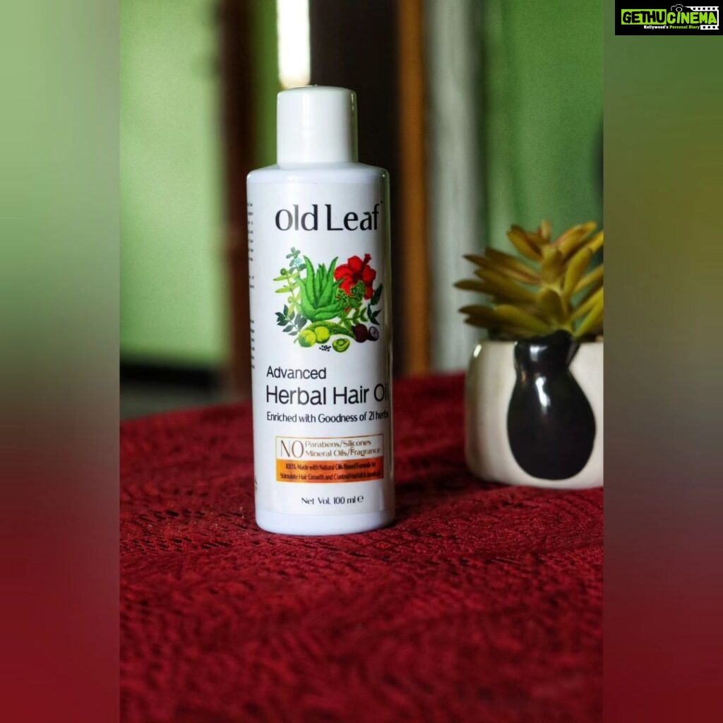 Priyankha Masthani Instagram - @myoldleaf_hairoil OldLeaf herbal hair oil is made with a blend of carefully selected herbs, oils, and botanical extracts that have been used for centuries to promote hair growth and strengthen hair follicles. We take pride in our commitment to using only natural ingredients, free from harmful chemicals that can damage hair and scalp.. Whats app:9597784888