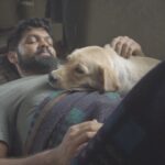 Rakshit Shetty Instagram - A cute throwback : Charlie enjoying a cuddle in the midst of a shoot #777Charlie #BehindTheScenes #TeamRS