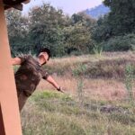 Raveena Tandon Instagram - A Happy Birthday dump! Couldn’t have been more perfect! ♥️🌳 Panna Tiger Reserve