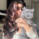 Reem Shaikh Instagram - Happy birthday my love ..🐾❤️