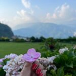 Reem Shaikh Instagram - Mera dil .. kahin dur pahadon mein kho gaya.