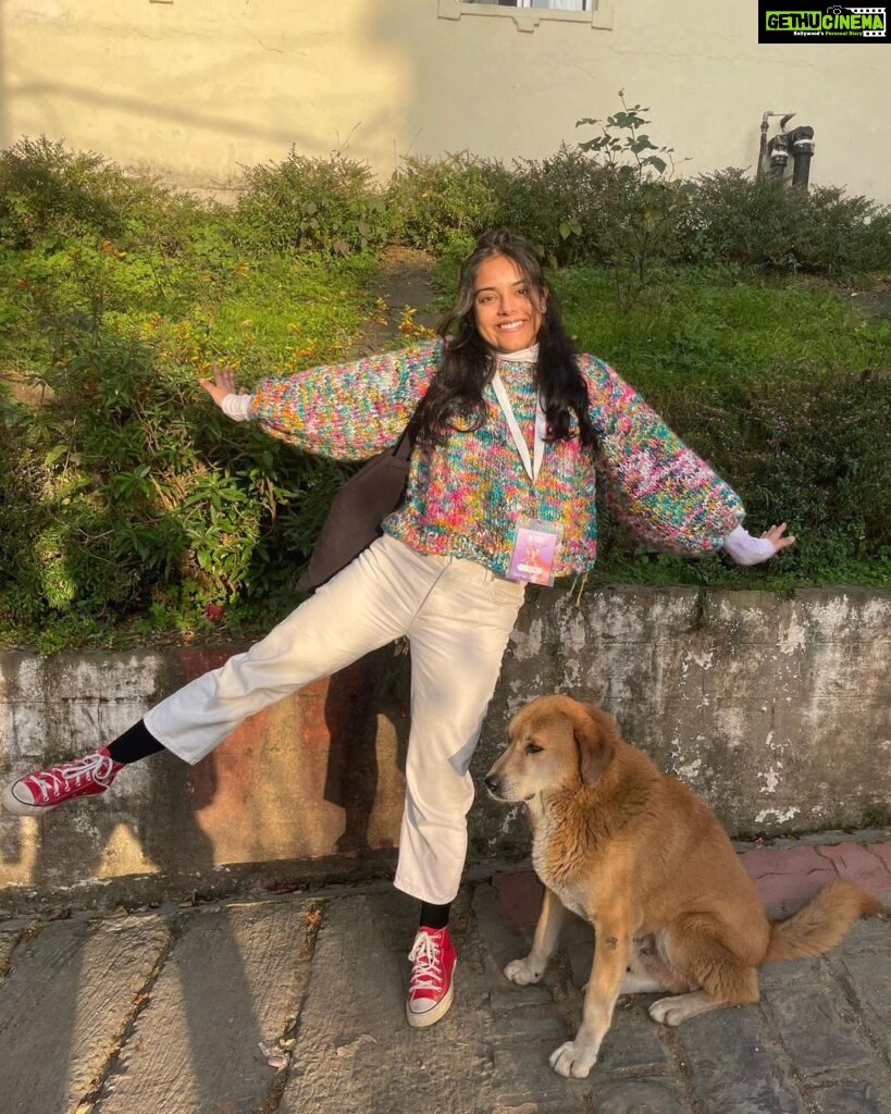 Riddhi Kumar Instagram - Keeping myself warm this winter with my handmade knitwear. Was so excited to wear these cuties at @diff.india 💕 Also, swipe to see who joined this photo sesh 🐶 Mcleod Gunj, Dharmshala