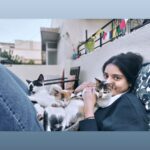 Riddhi Kumar Instagram - Neko mama 👸🏽 #cats #catsofinstagram #catlife