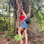 Riya Suman Instagram - Went looking for the Banyan Tree Baba 😅 #iykyk Didn’t find any. Guess he doesn’t meditate in off season. 🙈 The Tree