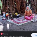 Riya Suman Instagram - Went looking for the Banyan Tree Baba 😅 #iykyk Didn’t find any. Guess he doesn’t meditate in off season. 🙈 The Tree