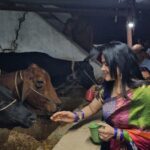 Seema Singh Instagram - बरे ही सौभाग्य की बात है गाय माता की सेवा करना।।ये सौभाग्य मुझे भी प्राप्त हुआ बरबीघा गौशाला में इनको चना गुड़ खिलाकर।। साथ मे चिंटू भैया , सुमन जी, दीपू जी।।।।।. . . . #bihar #barbigha #gaumata #trending #photooftheday Barbigha