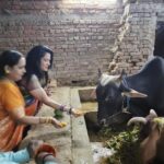 Seema Singh Instagram - बरे ही सौभाग्य की बात है गाय माता की सेवा करना।।ये सौभाग्य मुझे भी प्राप्त हुआ बरबीघा गौशाला में इनको चना गुड़ खिलाकर।। साथ मे चिंटू भैया , सुमन जी, दीपू जी।।।।।. . . . #bihar #barbigha #gaumata #trending #photooftheday Barbigha