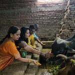 Seema Singh Instagram - बरे ही सौभाग्य की बात है गाय माता की सेवा करना।।ये सौभाग्य मुझे भी प्राप्त हुआ बरबीघा गौशाला में इनको चना गुड़ खिलाकर।। साथ मे चिंटू भैया , सुमन जी, दीपू जी।।।।।. . . . #bihar #barbigha #gaumata #trending #photooftheday Barbigha