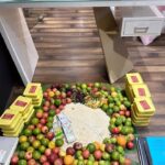 Shalu Shammu Instagram - Ayudha Pooja Celebration 🎉 #shalushamu #raviranganathan #suhaacosmeticclinic #allinsin #zenenterprises #mswitchfintechsolution #mswitchfinance #mswitchhealth #company #ayudhapooja #celebration #staffs #🥰 Suhaa Multispeciality Cosmetic Clinic