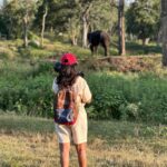 Sharanya Turadi Instagram – Elephants of Theppakadu 🐘

3 things you can never get enough of watching,

Elephants, A new born baby and the ocean 

How true? 
 
Paathukite irukalam ❤️🥹

Established in 1923, Theppakadu Elephant Camp stands as the oldest elephant camp in Asia. 
Presently, it houses 24 elephants and serves as a training and rehabilitation center for these majestic creatures. 
It is situated within the Mudumalai Wildlife Sanctuary and was initially founded to manage and train elephants used for forestry tasks like logging and timber transportation. 

This camp got super famous after the academy award winning Shortfilm Elephant whisperers and continue to attract more tourists around the world.

This elephant camp functions as a popular tourist destination and a center for rehabilitating captive elephants. Tourists can witness elephants being fed and bathed, and can also take elephant rides and safaris. In addition, the camp provides training programs for mahouts and educates visitors about the significance of elephant conservation.

📍Theppakadu, Tamilnadu 
#photodump #elephantwhisperers #tamilnadu #tamilnadutourism #theppakadu