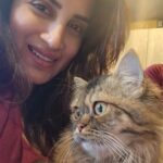 Smita Gondkar Instagram – Congratulations on your parenthood kitty.. God bless your kittens.. Wishing they all get loving families..
.
.
.
#smitagondkar #smittens #cat #catlove #cats #explorepage #trending #instagram