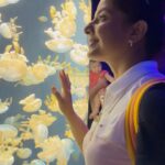 Smrity Sinha Instagram – The one thing that a Fish can never find is Water….
🐠🪼🐬🐳🐋

#savetheocean #instagood #seaaquarium #singapore #smritysinha #mytravelstory S.E.A Aquarium, Sentosa, Singapore