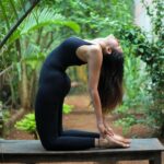 Sonnalli Seygall Instagram - योगस चित्त वृत्ति निरोध | Sutra number II , Patanjali Yog Sutra. Meaning~ Yoga is stilling the modifications or fluctuations of the mind. _____________ _____________ __________ Location: @anokhigarden #Mysore #Yogawithsonnalli #yogajourney #patanjali #traditionalyoga #yogagirl #wellnesslifestyle #fitnessmotivation #asana
