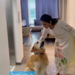 Suma Kanakala Instagram - Zorro tales 🐶 #sumakanakala #zorro #pet #anchorsuma #anchorsumakanakala #suma #petlove