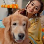 Tina Datta Instagram - Today starts the auspicious festival of Diwali and this year like many, I’m celebrating away from family. However Bruno has been a constant in my life, by my side always so sharing a glimpse of what Diwali is looking like in our world ❤️ @areesz . . . #diwali #happydiwali #diwalipreparations #fashion #style #lookbook #feelkaroreelkaro #feelitreelit #tinakastyle #tailortalks