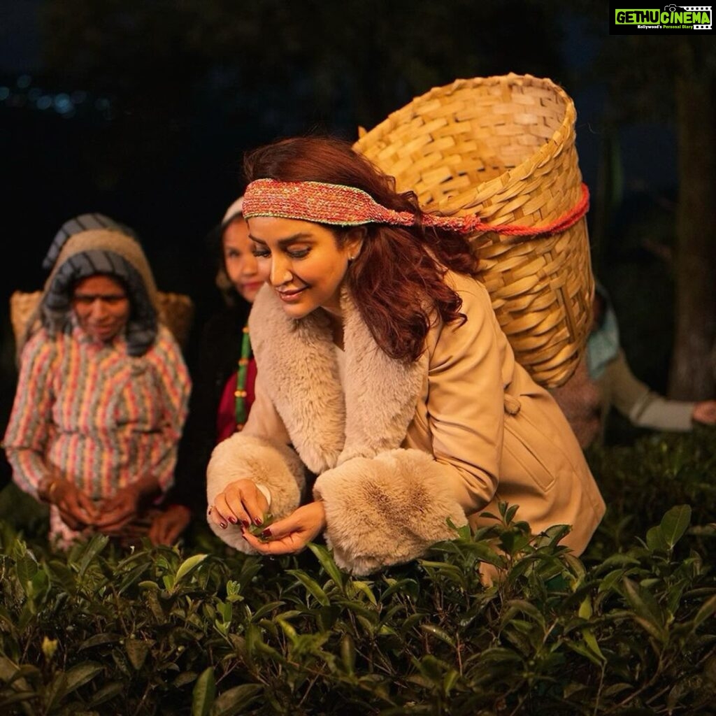 Tisca Chopra Instagram - I travelled to the foothills of the Himalayas to experience the magical mystical Makaibari Tea Estate. Walking through the Lush green gardens, plucking tea leaves in the moonlight and experiencing the refreshing taste of Honest Tea @honestteaindia an iced green tea with organic green tea sourced from Makaibari Try it now! #HonestTea