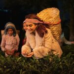 Tisca Chopra Instagram - I travelled to the foothills of the Himalayas to experience the magical mystical Makaibari Tea Estate. Walking through the Lush green gardens, plucking tea leaves in the moonlight and experiencing the refreshing taste of Honest Tea @honestteaindia an iced green tea with organic green tea sourced from Makaibari Try it now! #HonestTea