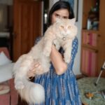 Vimmy Bhatt Instagram - #❤️ #🐈