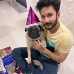 Vishnu Instagram - Happy birthday my milo boy 🥰 long live my boy ❤️ . . . #miloboy #pug #doglover #lifeline #birthday #vvians #vishnuvijayfans #vishnuvijay_offl #vishnuvijay