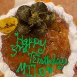 Vishnu Instagram - Happy birthday Milo 🥳 #pug #doglover #lifeline #vvians
