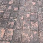 netri nisarg trivedi Instagram - At Sanchi Stupas Where tales of buddhist Monks (Jatak Katha) and Emperor Ashoka have been carved Along with Samadhis