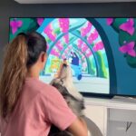 Aakriti Rana Instagram - Look at him talking to the cartoon. So cute haha Have you tried this with your doggo? Share this with someone who is a doggo parent ❤️ #aakritirana #bluey #doggo #dogsofinstagram #husky #reelsindia #dogvideos #dogmom #reelsinstagram
