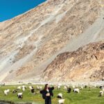 Aakriti Rana Instagram - Wow I never imagined that I would be having a live barbecue picnic at such a gorgeous location in Ladakh. You too can do this with @ladakhsarai. Tag someone you want to do this with! ❤️ Thank you @landrover_in @cougar__motorsport for this. #DefenderJourneys #CougarMotorsport #partnership #aakritirana #travelblogger #ladakh #picnic #indiantravelblogger #incredibleindia