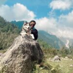 Aakriti Rana Instagram - Well that shit really hurts too 🫠 Leaving Shadow with dad in Shimla now. Addy and I are gonna be so bored of each others without him in the house now 😒 Do you also have long distance with your doggo 🥺🥺 How often do you meet em? [ aakriti rana, long distance, LDR, family, road trip, husky, dog videos, long distance relationship, shimla, Himachal Pradesh]