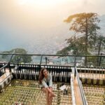 Aakriti Rana Instagram - I’ve been obsessed with these net beds ever since I went to Bali. Maybe we’ll put one in our house in Shimla. Found a place where you can chill on one of these with an absolutely amazing view of the sunset and the city. My favourite new place to hangout in Shimla! P.s you need to try their mango beer! It’s 🔥 Location: @shimlabrewingcompany Tag someone you would go here with ❤️ And save it for your next trip! #Aakritirana #shimla #himachal #brewery #sunset #wheretoeat #shimlamallroad #hosted #travelblogger #indiantravelblogger #reelsindia #cityview Shimla,himachal Pradesh