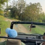 Aathmika Instagram - Searching for tiger ended up having snacks in middle of the jungle for most of my safari’s but god has been kind to let me spot 3 tigers on my last day of safari 🐅 The thrill is to watch tiger in its natural habitant but the sheer high is to have few seconds of eye contact, phew literally dead moment.. 🐯 #Junglelife Bandhavgarh National Park