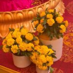Akshata Sonawane Instagram - Blossoming love in every petal, a tapestry of tradition woven with vibrant hues and Indian blooms. 🌺✨ #HaldiCelebration #FloralElegance”#eventplanner #eventplanning #indianwedding