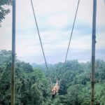 Amandeep Sidhu Instagram - Travel far, travel wide , travel solo💜 . . . . . . . #amandeepsidhu Bali Swing - Bali - Indonesia