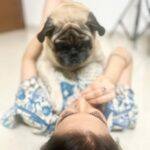 Amandeep Sidhu Instagram - Missing this little one too much 🥹 . . . . . #amandeepsidhu #muffin #toodles