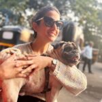 Amandeep Sidhu Instagram - My 🌎 . . . . #amandeepsidhu #mybaby #toodles Nashik