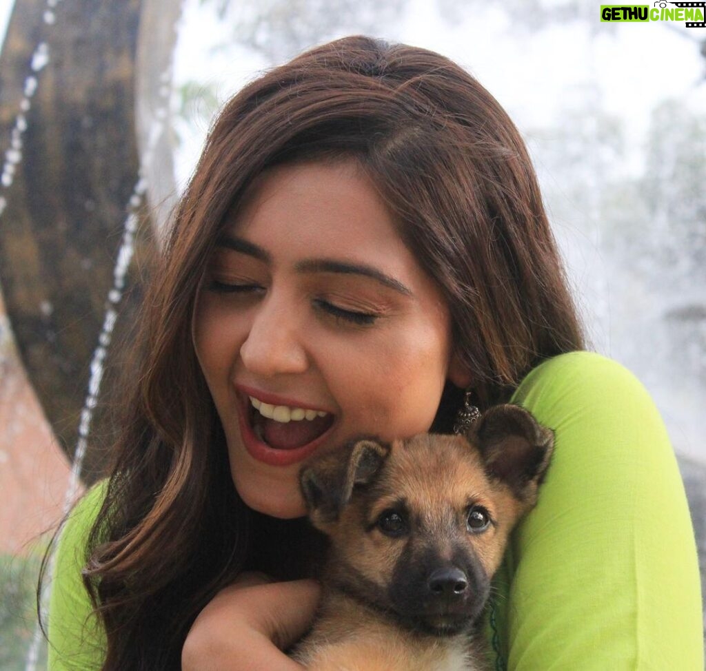 Anjali Tatrari Instagram - Meet “Tin Tin” 🐶 Met him a couple of days back on the set and I might be completely in love with him 🥹 Those innocent eyes 👀 📸 - @_irfan__beg__777_ #anjalitatrari #puppy #tintin #yuvikamahajan #vanshaj