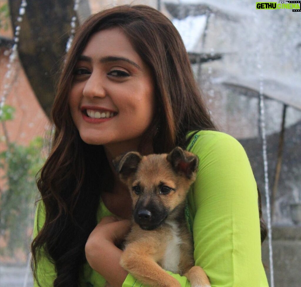 Anjali Tatrari Instagram - Meet “Tin Tin” 🐶 Met him a couple of days back on the set and I might be completely in love with him 🥹 Those innocent eyes 👀 📸 - @_irfan__beg__777_ #anjalitatrari #puppy #tintin #yuvikamahajan #vanshaj