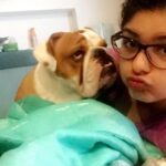 Anshula Kapoor Instagram - No matter how many times you experience the death of someone you love, It still doesn’t prepare you for the next time you loose someone. My bundle of joy, the happiest bulldog ever, the most loving, the most caring gol matol left us yesterday. It’s been a day and it still hasn’t sunk in. I don’t know how long it will take for it to hit me. Every loss hits hard, every loss knocks the wind out of you.. and you’re never prepared. We love you Max. Always and forever. I know mom Choco and Fubu will take good care of you on the other side. And I hope they keep you surrounded by an endless supply of peanut butter, chicken, dahi and apples. Thank you for loving us unconditionally, during our darkest times and during our best times. Home is not the same without you. Love you forever my Maxalulu 🤍♾️