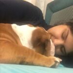 Anshula Kapoor Instagram - No matter how many times you experience the death of someone you love, It still doesn’t prepare you for the next time you loose someone. My bundle of joy, the happiest bulldog ever, the most loving, the most caring gol matol left us yesterday. It’s been a day and it still hasn’t sunk in. I don’t know how long it will take for it to hit me. Every loss hits hard, every loss knocks the wind out of you.. and you’re never prepared. We love you Max. Always and forever. I know mom Choco and Fubu will take good care of you on the other side. And I hope they keep you surrounded by an endless supply of peanut butter, chicken, dahi and apples. Thank you for loving us unconditionally, during our darkest times and during our best times. Home is not the same without you. Love you forever my Maxalulu 🤍♾️