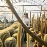 Ariah Agarwal Instagram – Feelin prickly 🌵 
.
.
.
.
#sikkim #kalimpong #gangtok #cactus #traveldiary