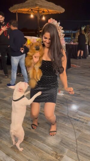 Ashwini Sree Instagram - My love for animals🤗🥰😘❤️ 

#birthday #party #réel #reelsinstagram #reels #instagood #bigboss #bigboss7 #telugu #tollywood #dimple #cute #dogsofinstagram #doglover #dog #random #ashu #ashwini #trending #love #tflers #bigbosstelugu