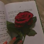 Ayesha Khan Instagram - नज़र बुझी तो करिश्मे भी रोज़ों-शब के गए की अब तलक नहीं आए हैं लोग जबके गए सुनेगा कौन तेरी बेवफ़ाइयों का गिला यही है रस्में-ज़माना तो हम भी अबके गए मगर किसी ने हमें हमसफ़र नहीं जाना यह और बात की हम साथ साथ सबके गए!!
