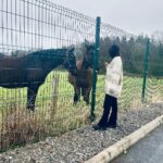 Delna Davis Instagram - ChristmasMagic Knock, Ireland
