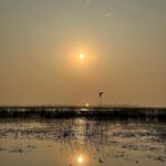 Dimple Biscuitwala Instagram – Nature’s silent symphony, a refreshing serenade for the soul☀️ #SunriseMagic #blissfulmoments #naturelove #nalsarovar #nalsaroverbirdsanctuary Nal Sarovar