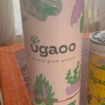 Gauri Pradhan Tejwani Instagram - Thank youuu @ugaoo for these beauties and your thoughtful and easy packaging..they are doing very well in their new home!❤️