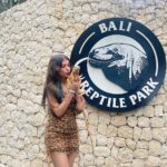 Gracy Goswami Instagram - Embracing my Scaly Side! 🐊 🦎 🐢 . . . . . . . . . #bali #baliindonesia #vacation #vacaymode #vacayvibes #vacaymodeon #nusapenida #nusapenidaisland #explore #travel #wanderlust #internationvacay #surreal #instagramposts #style #fashion #outfitinspiration #Balivisits #sundays #happydays #vibe #grace #graceitwithgracy #500ksoon #baliisland #loveyouguys #grattitude #creepycrawlies #reptiles #fierce