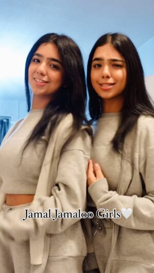 Ishveen Gulati Instagram - Apne notice kiya gaane me?🙈
#teamvleenam #mirrortwins #twins #twin #jamaloogirl #animal #jamalkudu #bobbydeol 💗